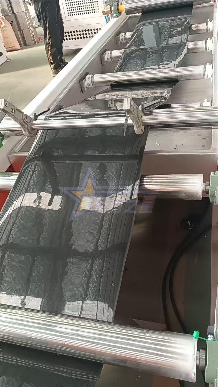 Clientul vizitează fabrica EASTSTAR din Qingdao pentru o execuție de probă la fața locului a liniei de producție a foilor de tăvi pentru răsaduri PP/PS