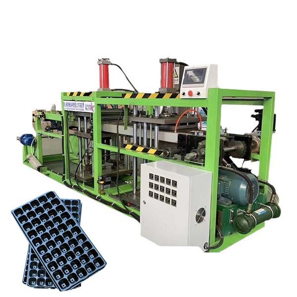 Tăvi pentru răsaduri neuniforme și capacitate redusă? Toate Problemele Rezolvate. - Știri - Qingdao Eaststar Plastic Machinery Co.,Ltd.